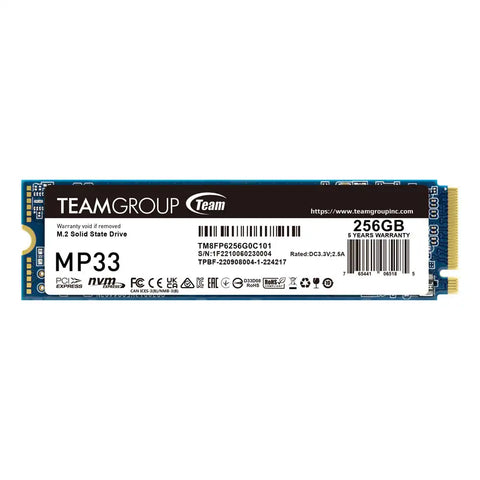 TeamGroup MP33 256GB PCle Gen 3×4