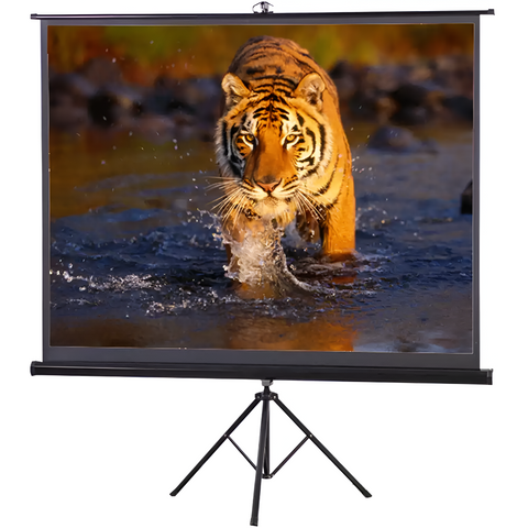 Projector screen displaying a tiger in water on a tripod stand