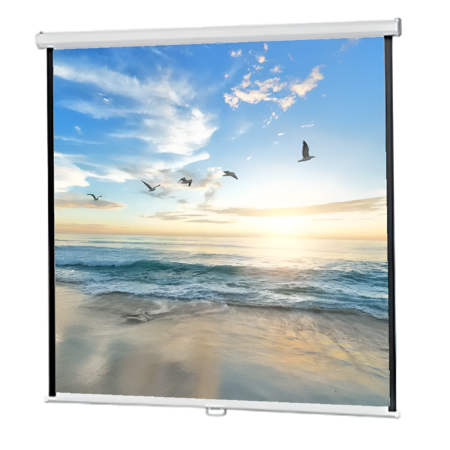 Retractable screen displaying a scenic beach with birds and sunset.
