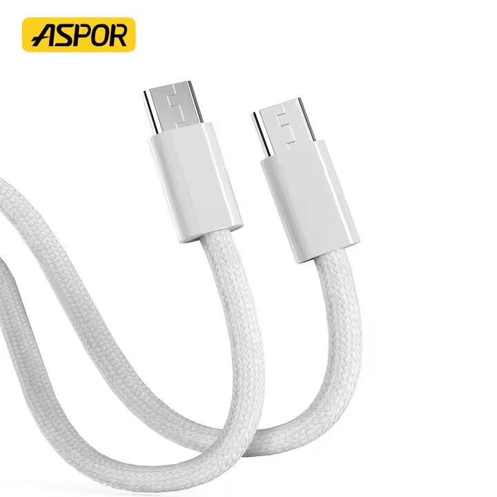 Aspor A012 100W Type-C to C Braided Cable